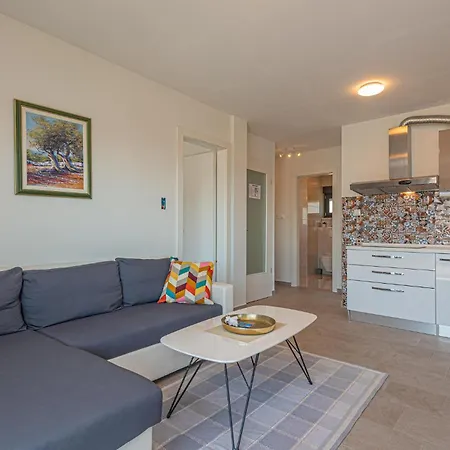 Amazing In With Wifi Vodice